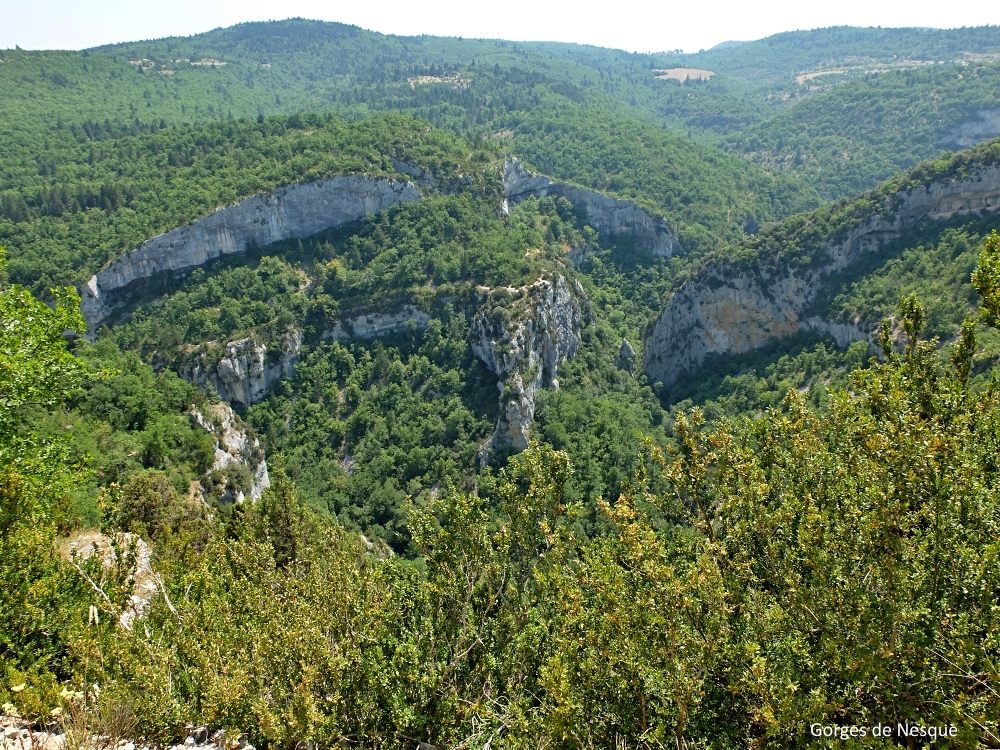 Gorges de la Nesque