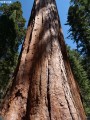 Yosemitsk nrodn park - 22