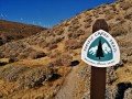 PCT in USA - 15