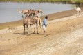 Senegal - 9