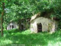 Kolo a víno Kolo a víno